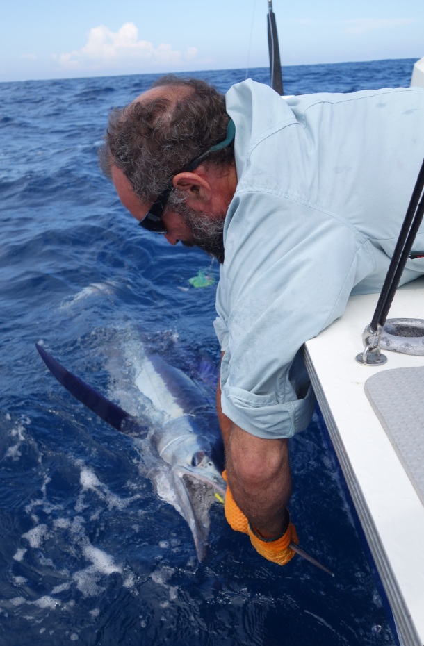 The T-Curve Revolution Bluewater Travel LT Spin 703 matched up with a Saragosa SW 5000 spinning reel proved the ideal set up for casting lures to medium-sized pelagics such as this Kimberley queenfish.